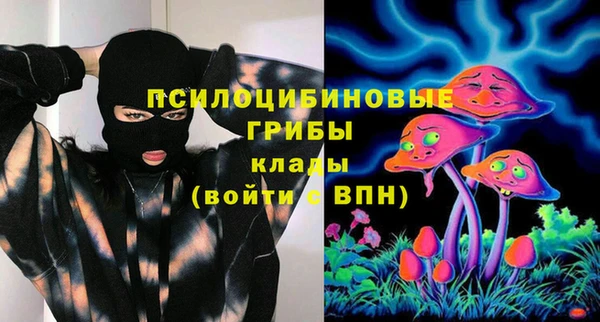 амф Аркадак