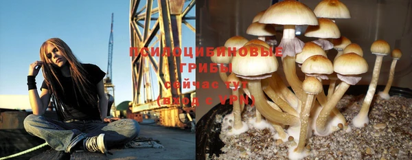 соль курить ск Армянск