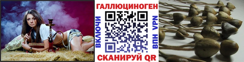 гидра ССЫЛКА  Вельск  Галлюциногенные грибы мицелий 